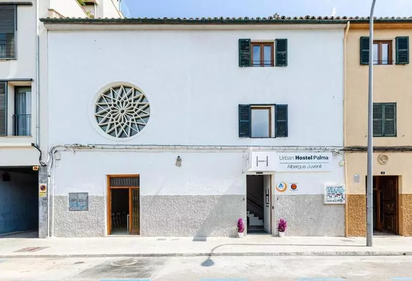 Urban Hostel Palma  Albergue Juvenil  Youth Hostel