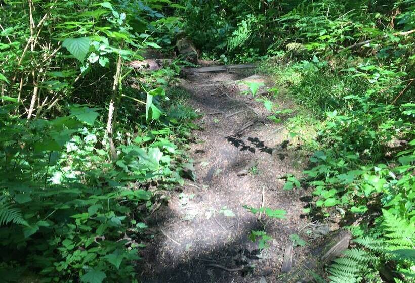 79mbr   Hot Tub   Pets Ok   Wifi   Bbq