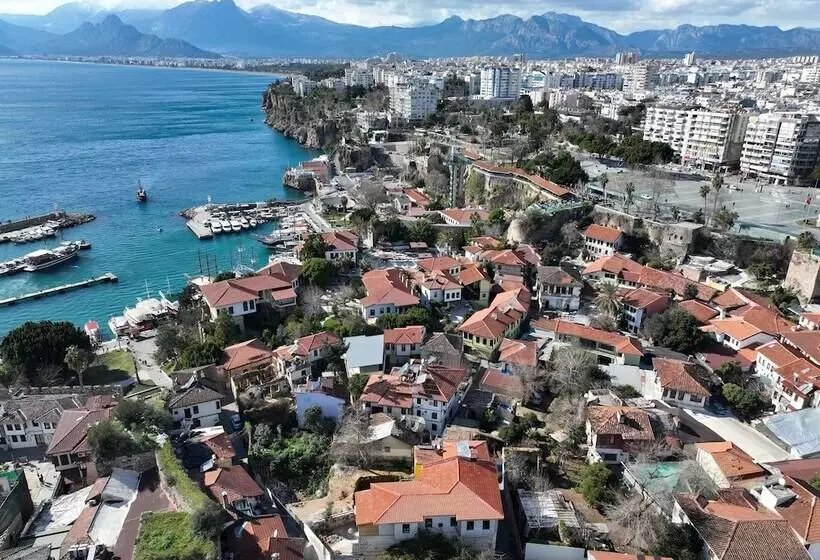 مسافرخانه The Little Prince Pension