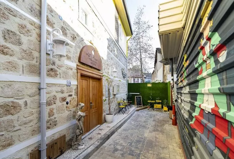 مسافرخانه The Little Prince Pension