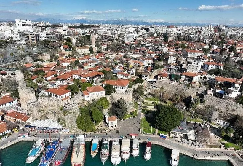 مسافرخانه The Little Prince Pension