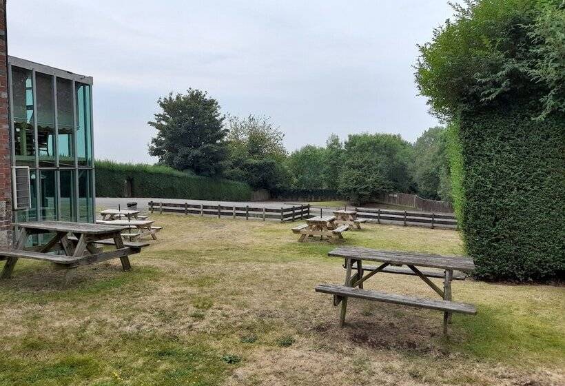 여관 The Rising Sun