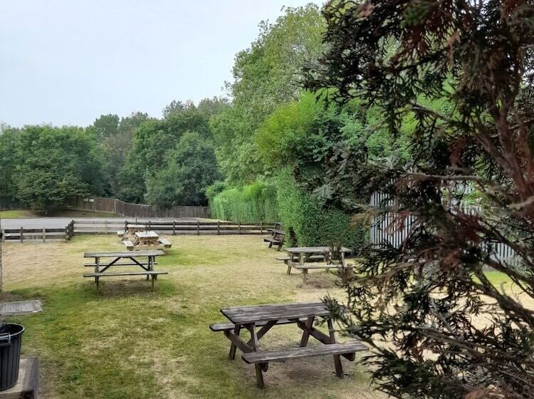 여관 The Rising Sun