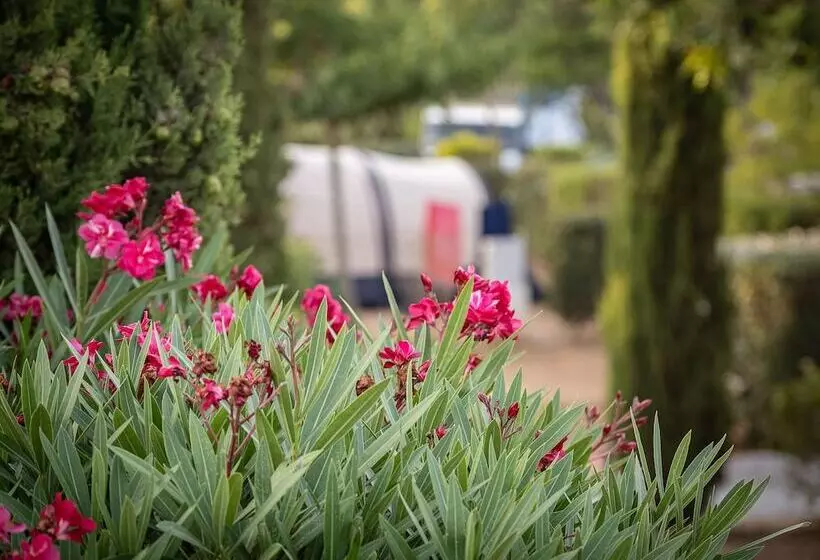 ホテル Camping L Orangeraie