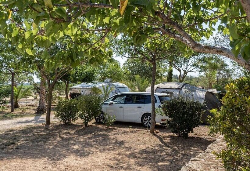 호텔 Camping L Orangeraie