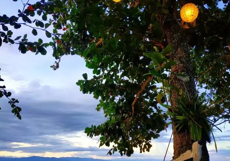 Hotelli Carolina Del Mar