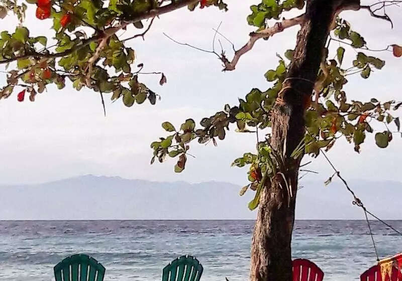 Hotelli Carolina Del Mar