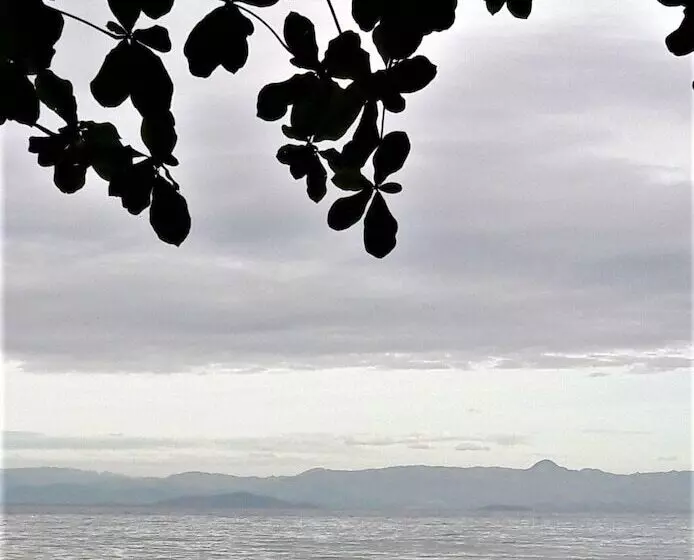 Hotelli Carolina Del Mar