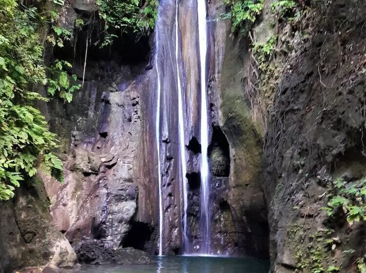 Hotelli Carolina Del Mar