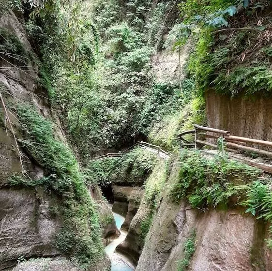 Hotelli Carolina Del Mar