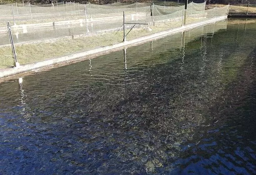 田舎風ホテル Agriturismo La Vecchia Chioderia
