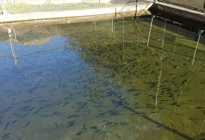 田舎風ホテル Agriturismo La Vecchia Chioderia