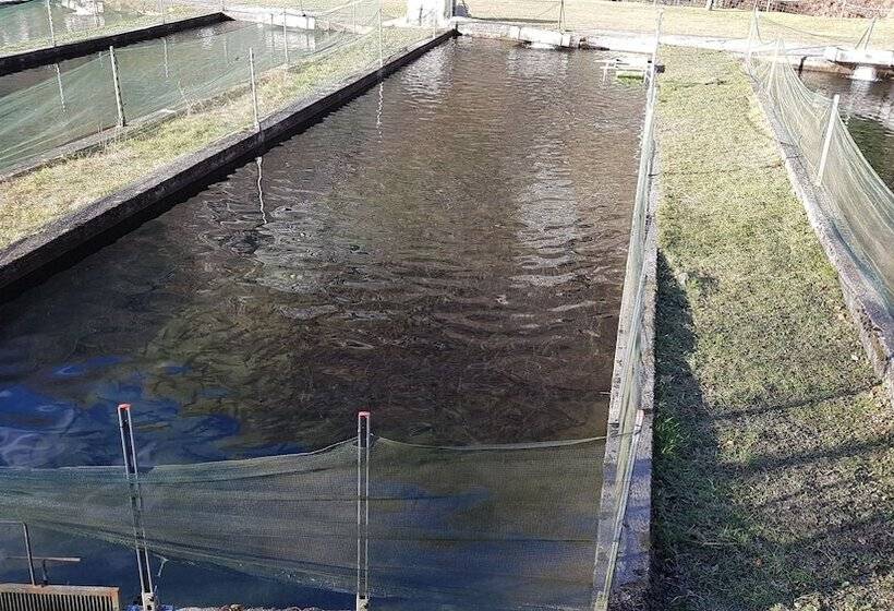 Сельский отель Agriturismo La Vecchia Chioderia