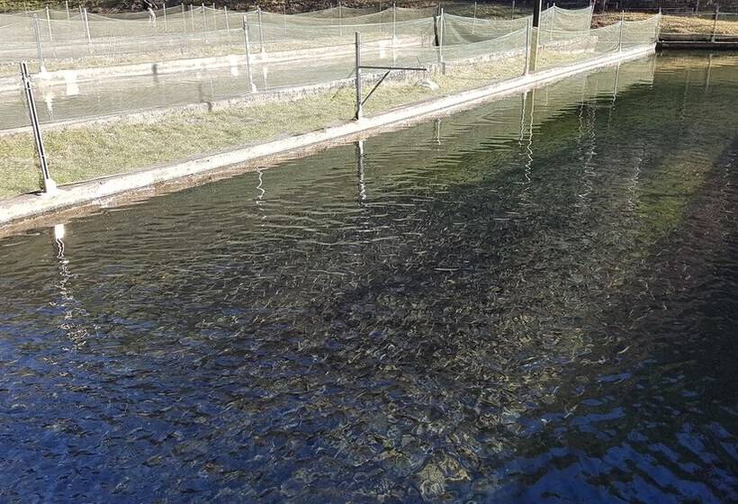 Сельский отель Agriturismo La Vecchia Chioderia