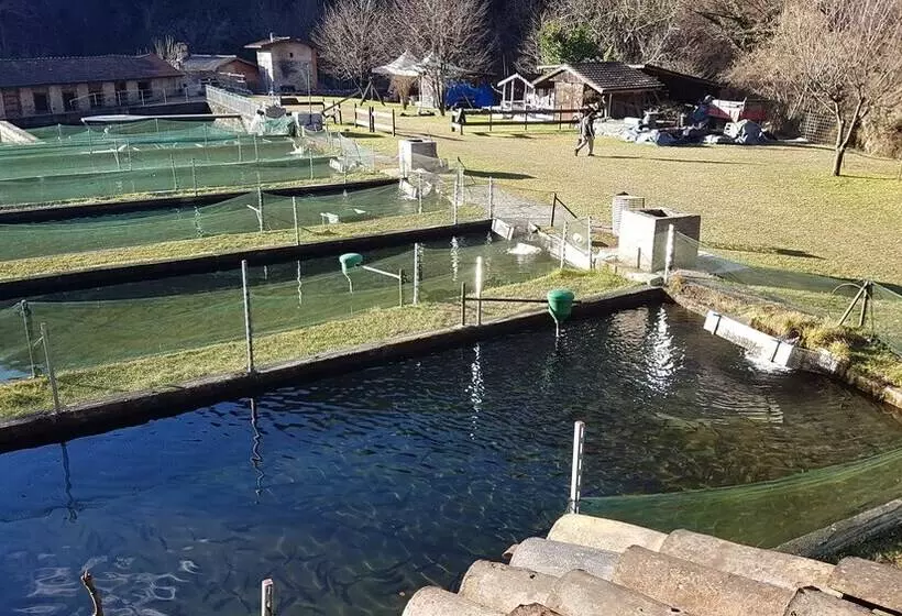 田舎風ホテル Agriturismo La Vecchia Chioderia