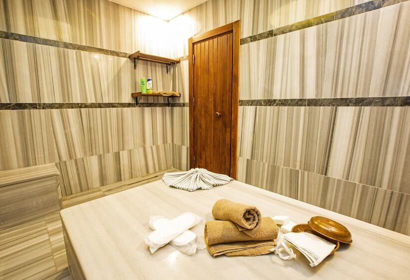 هتل Taksim Leon S