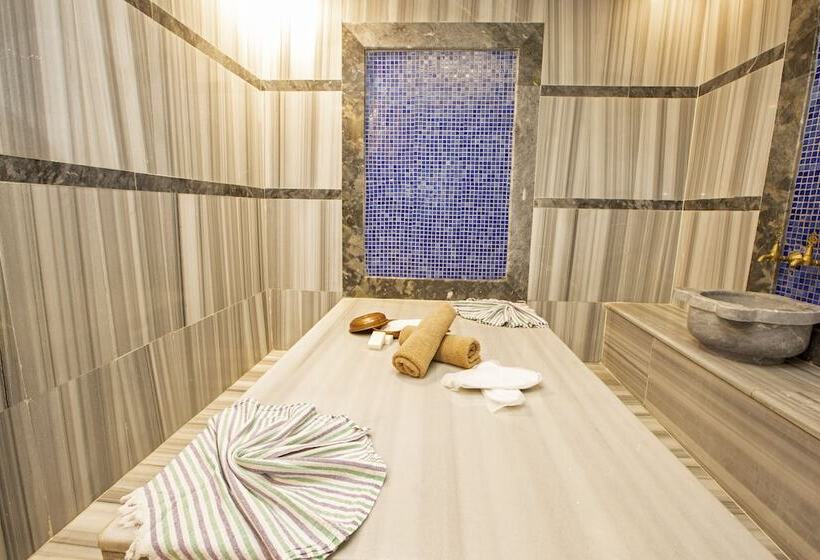 هتل Taksim Leon S