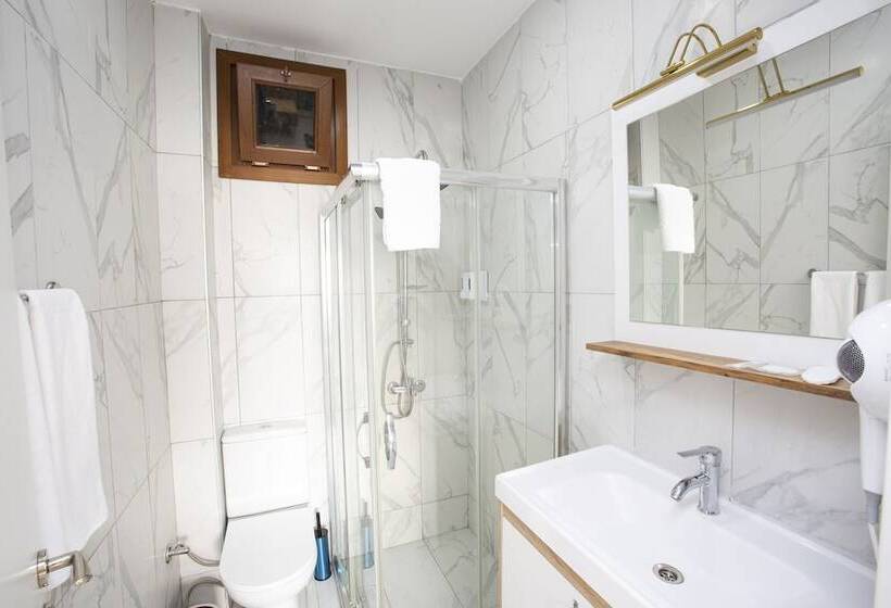 هتل Taksim Leon S