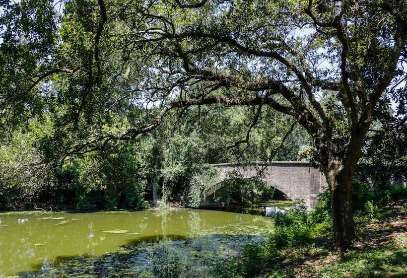 Peaceful Condo Near Bourbon Street