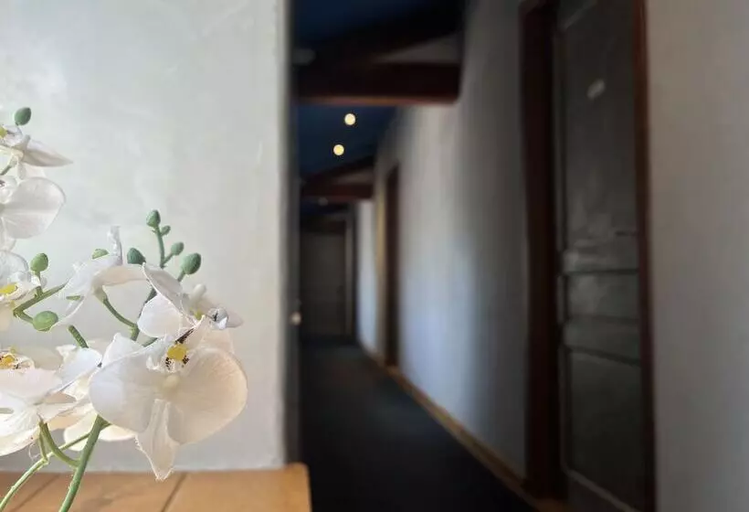 ペンション Domaine De Pipangaille