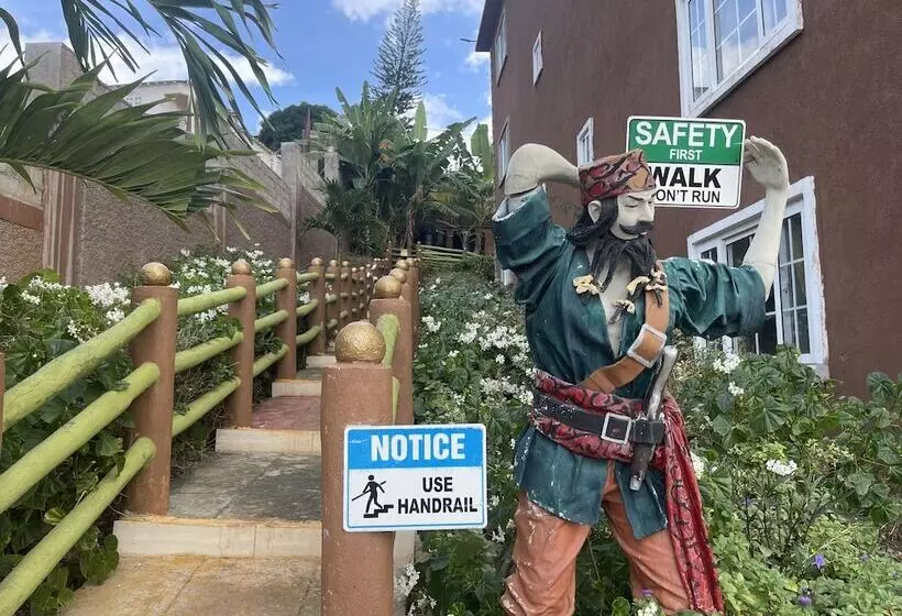 Pirate Palms
