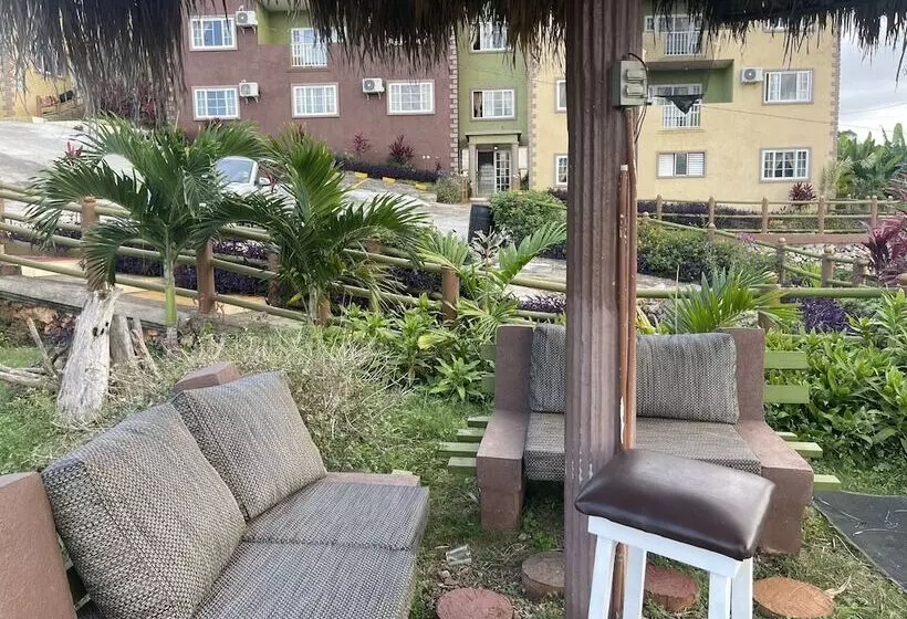 Pirate Palms