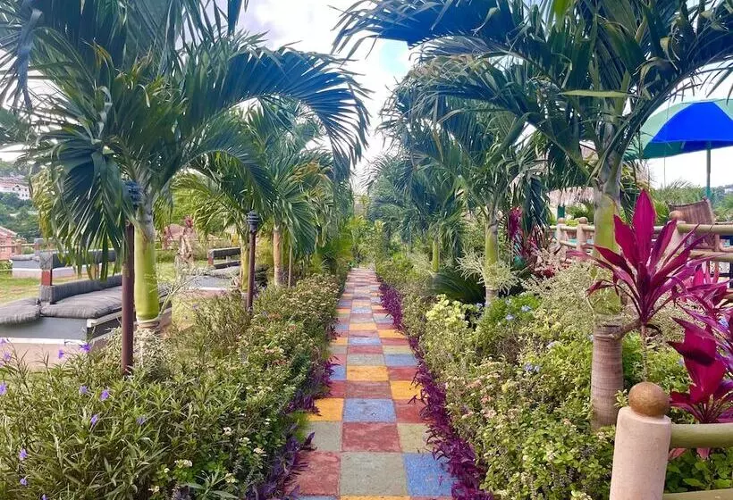 Pirate Palms