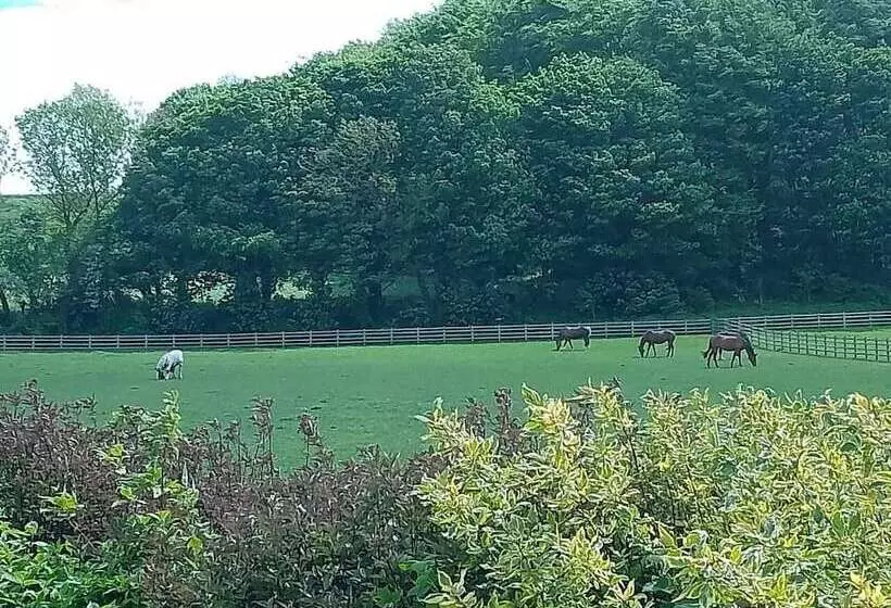 Unique Countryside Cottage Close To Sunderland