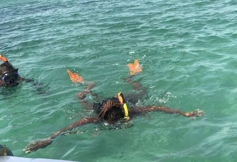 تختخواب و صبحانه Coco De Ville