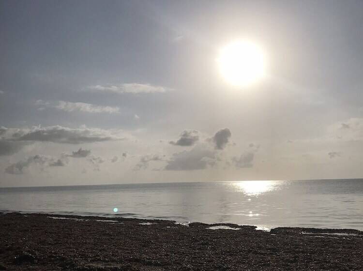 تختخواب و صبحانه Coco De Ville