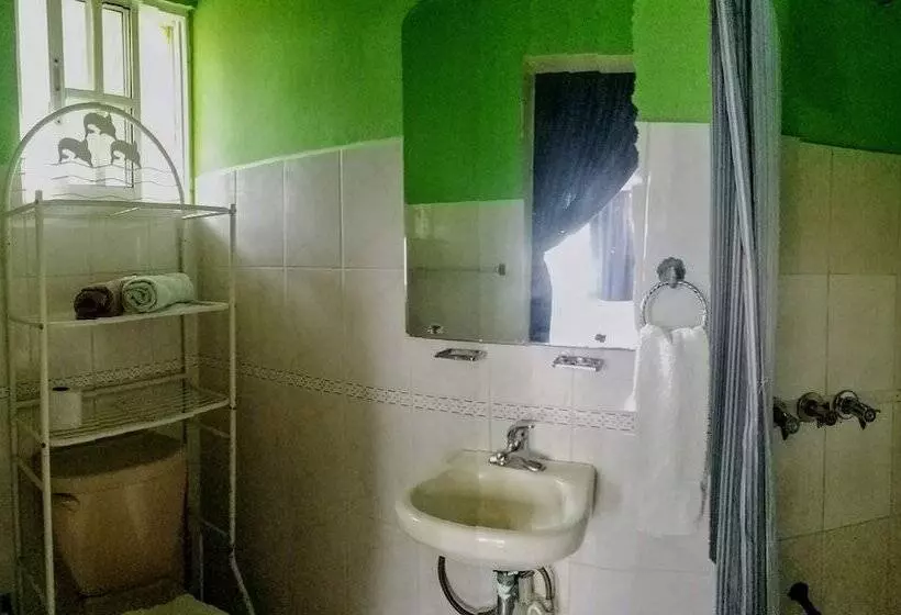 Blue Lady Rooms B&b