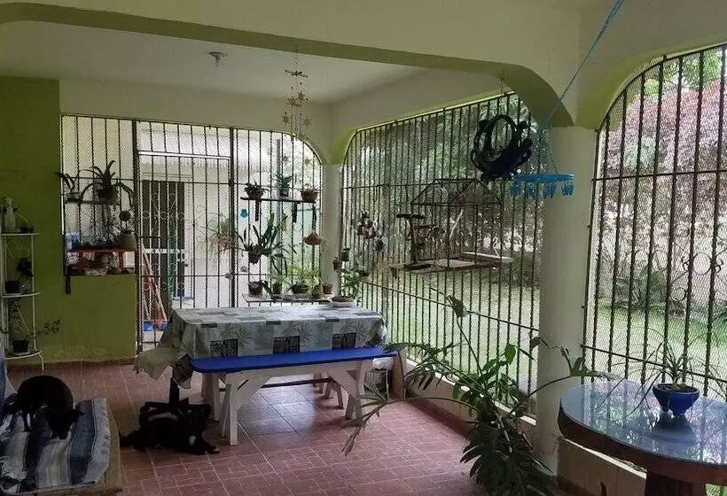 Blue Lady Rooms B&b