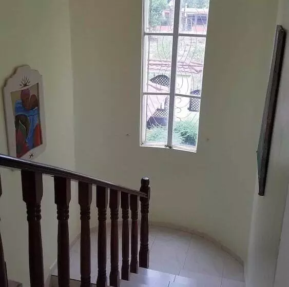 Blue Lady Rooms B&b