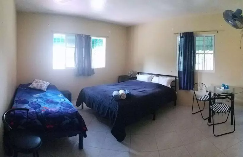 Blue Lady Rooms B&b