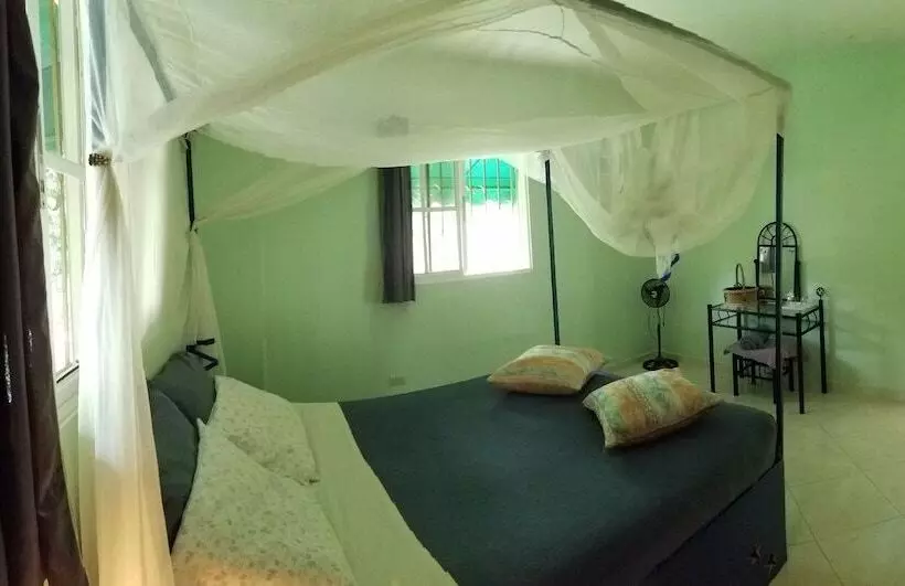 Blue Lady Rooms B&b