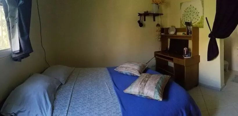 Blue Lady Rooms B&b