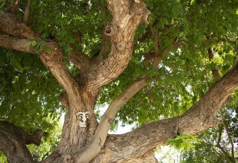 هتل Inn At Tamarind Court