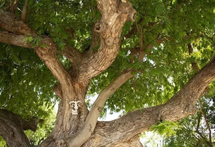 هتل Inn At Tamarind Court