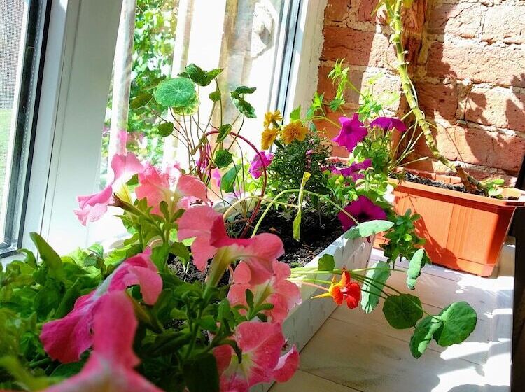 ペンション Kraft Creative