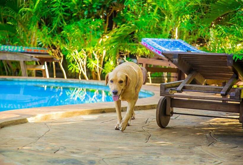 Villakwetu Cottages Diani Beach