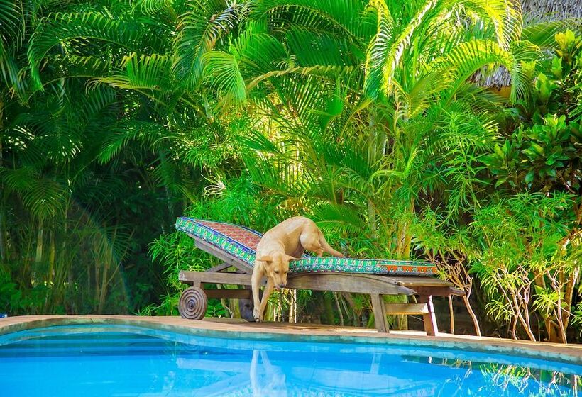 Villakwetu Cottages Diani Beach