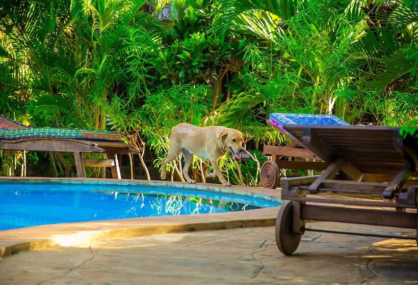 Villakwetu Cottages Diani Beach