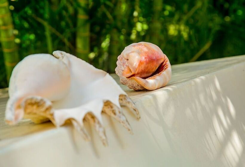 Villakwetu Cottages Diani Beach