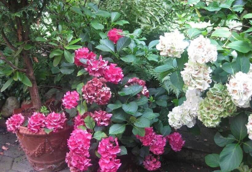 Boulevard Hostel Hamburg