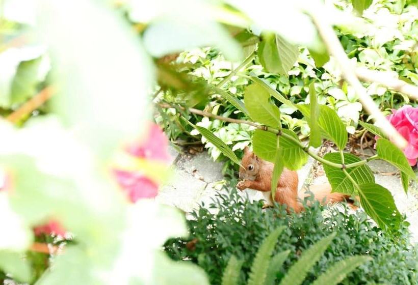 Boulevard Hostel Hamburg