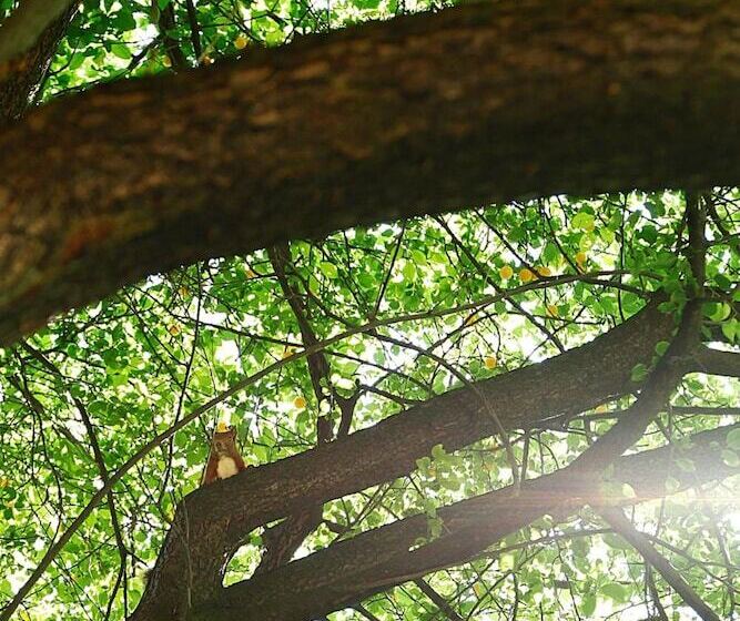 Boulevard Hostel Hamburg