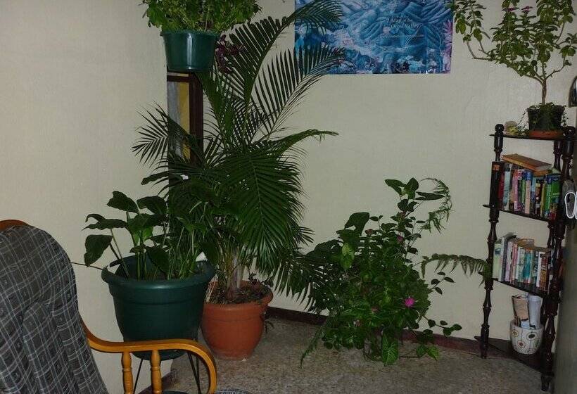 Cala Inn B&b Airport