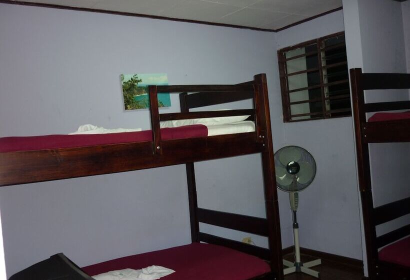 Cala Inn B&b Airport