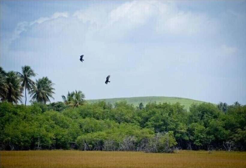 בית מלון כפרי Pousada Mangueville