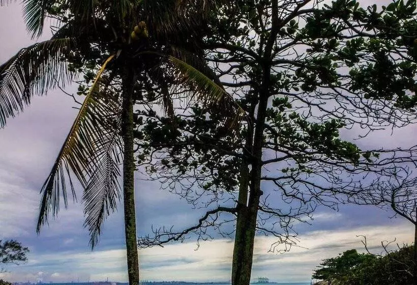ホテル Pousada Praia Do Ribeiro